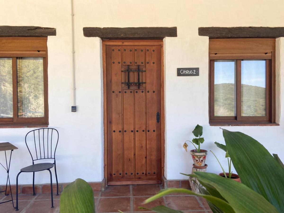 The Wild Olive Andalucia Citrus Suite Casares Exterior foto